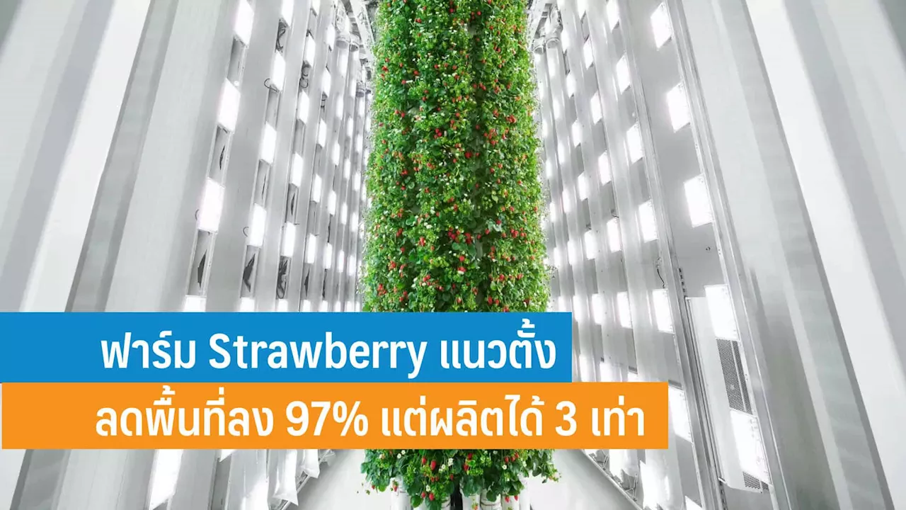 ฟาร์มแนวตั้งในร่มแห่งแรกของโลก ผลิตสตรอว์เบอร์รีได้กว่า 1.8 ล้าน กก./ปี