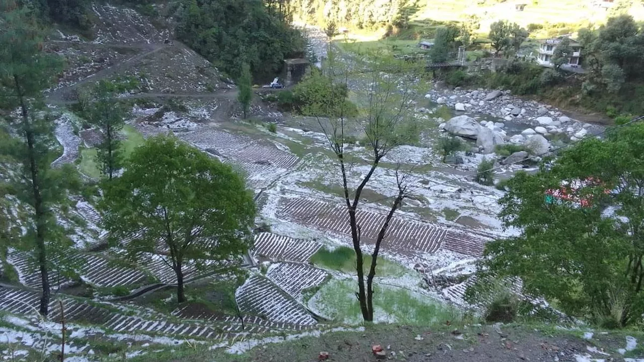 Himachal Weather Update: हिमाचल में मौसम ने बदली करवट, बर्फबारी और बारिश से ठंड में इजाफा