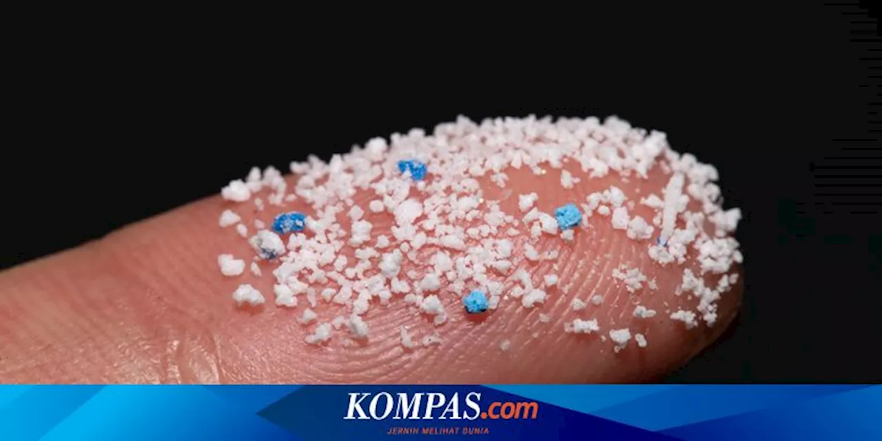 Cara Sederhana Kurangi Mikroplastik pada Makanan dan Minuman