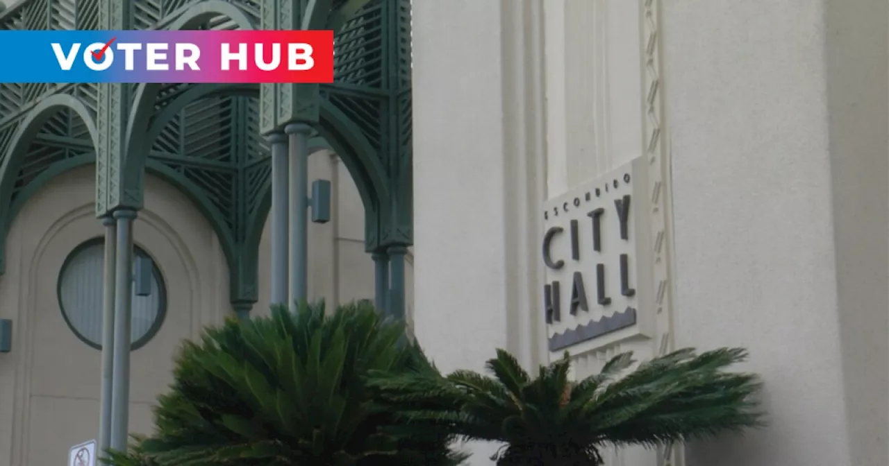 North County tax measures explainer
