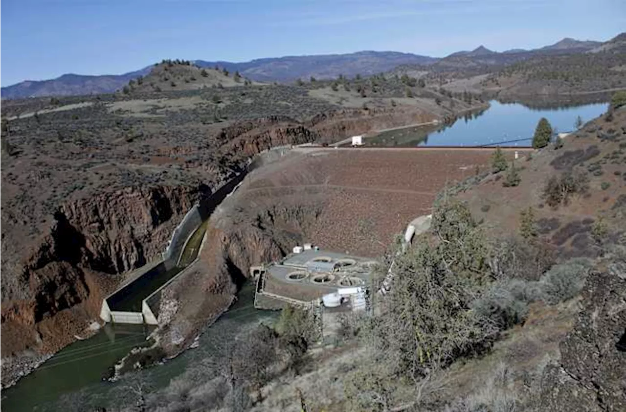 Salmon swim freely in the Klamath River for 1st time in a century after dams removed