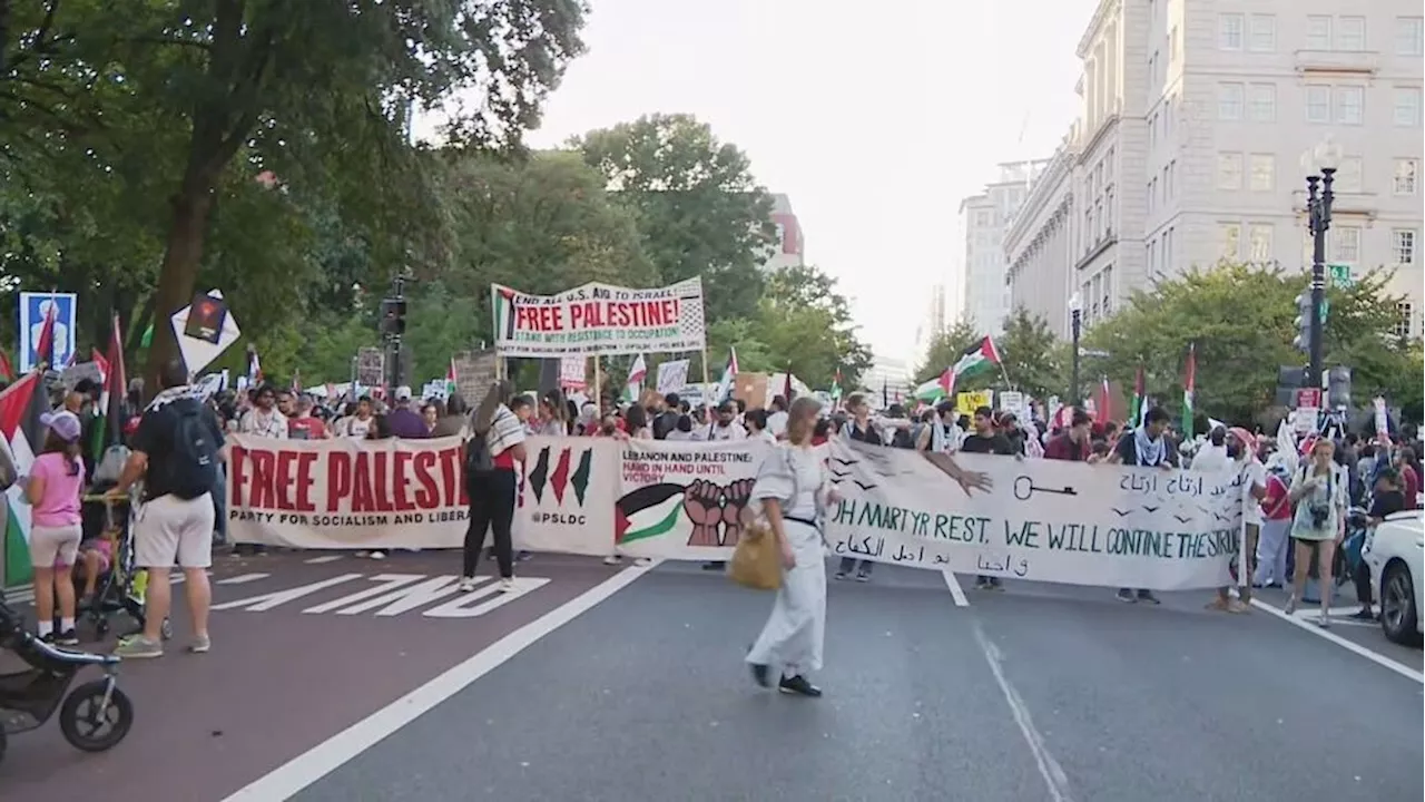 Man attempts to set himself on fire during pro-Palestine protest near the White House