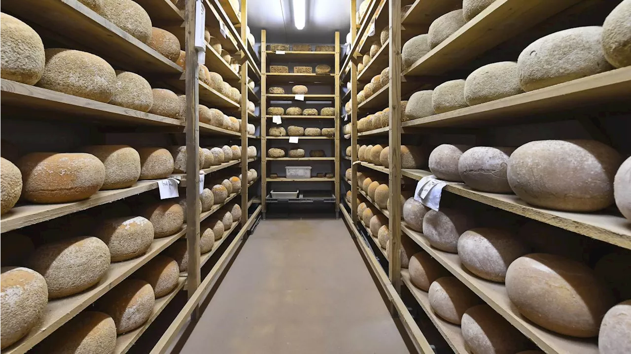 «Vide sanitaire» à la fromagerie Sainte-Godeleine après un rappel de produits pour cause de listeria