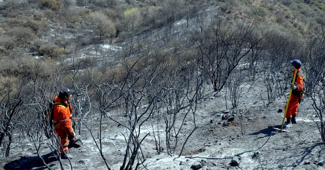 Investigadores del Conicet proponen debatir acciones para prevenir los incendios forestales