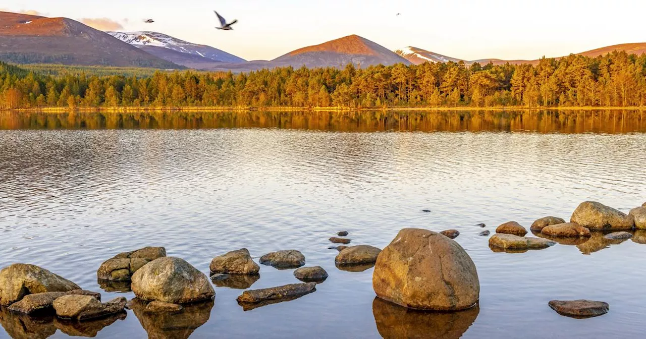 L’Écosse à l’automne : cinq balades dans une nature spectaculaire