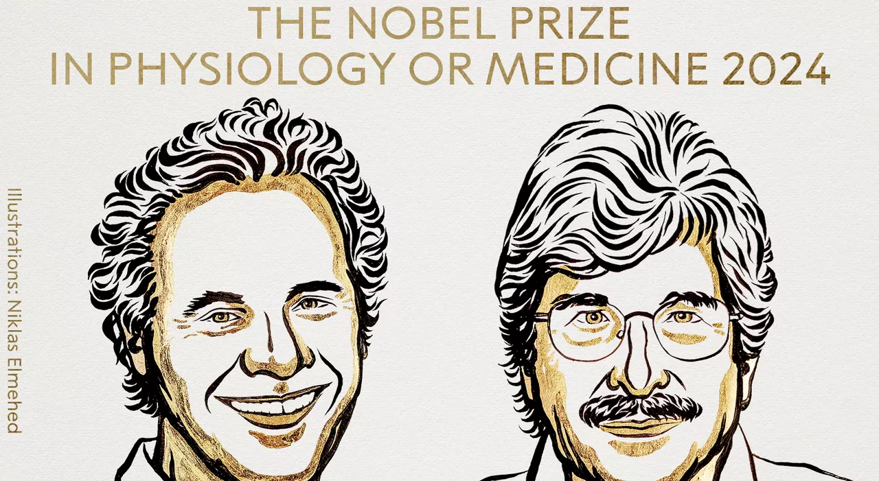 Premio Nobel 2024 per la Medicina a Victor Ambros e Gary Ruvkun per la scoperta del micro Rna