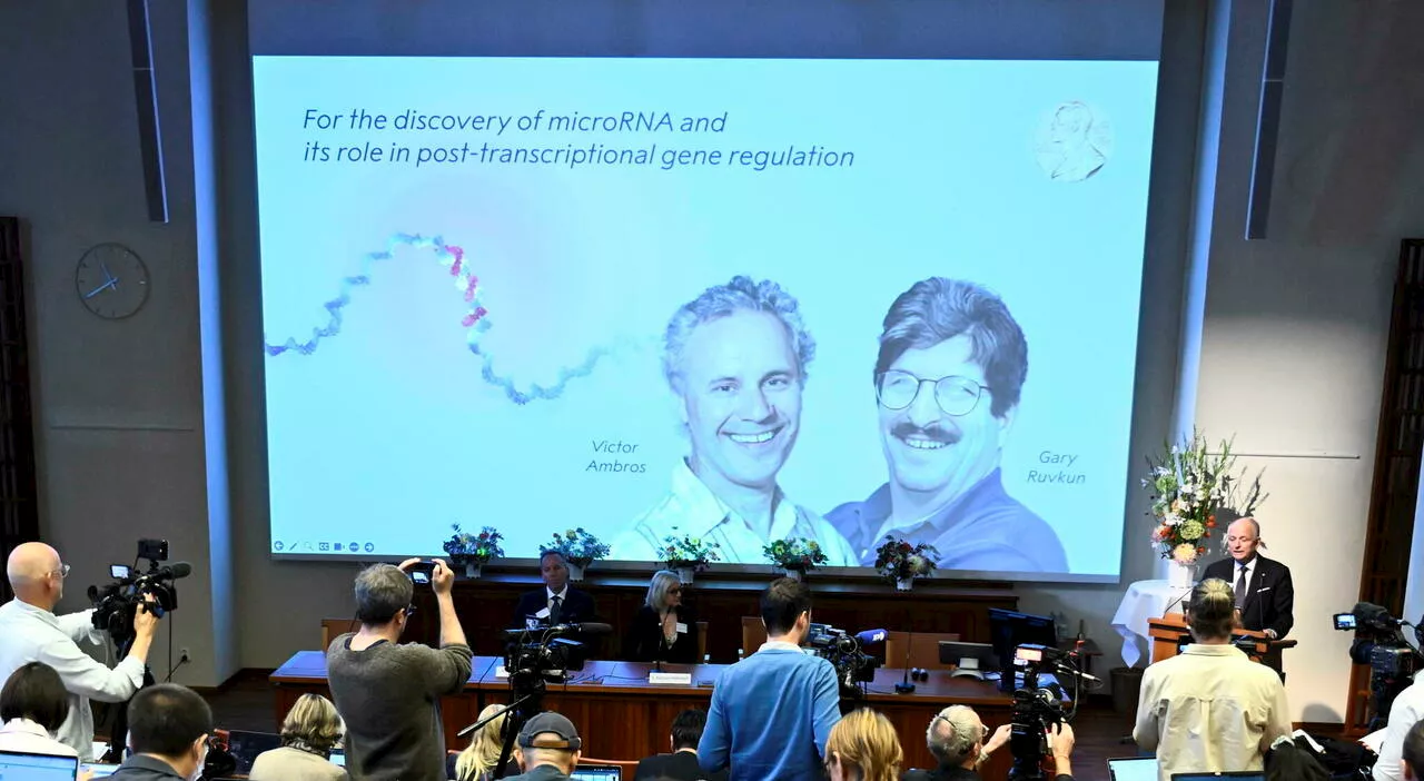 Premio Nobel 2024 per la Medicina a Victor Ambros e Gary Ruvkun per la scoperta del microRna