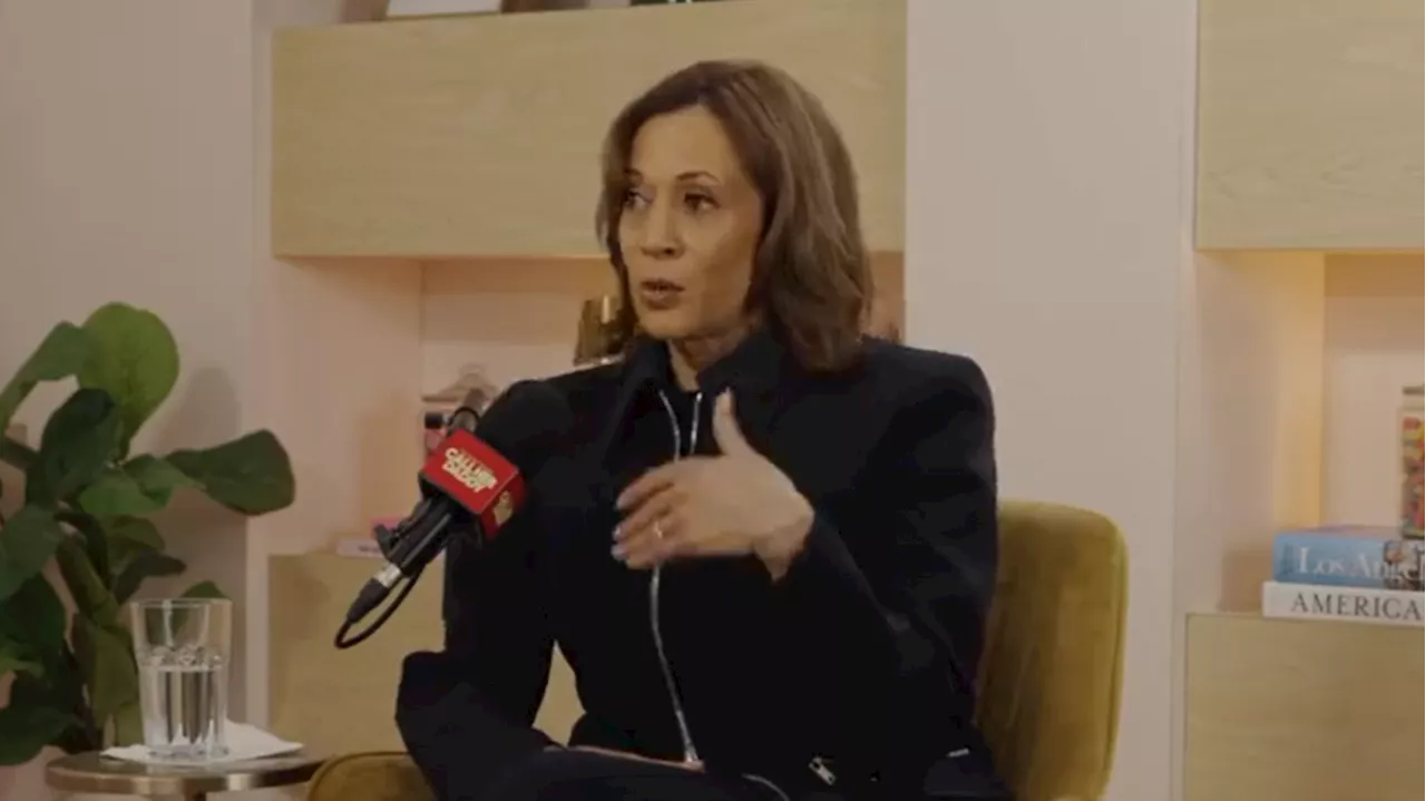 Kamala Harris, qualifiée de « femme à chats » par les républicains, répond à ses détracteurs