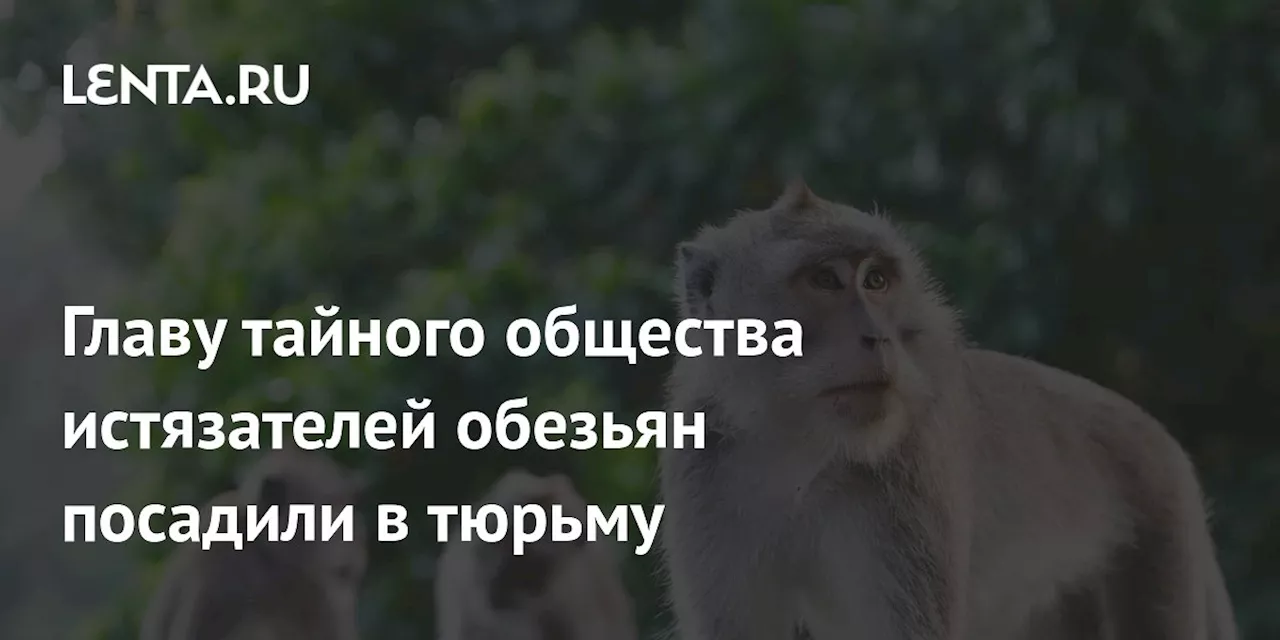 Главу тайного общества истязателей обезьян посадили в тюрьму