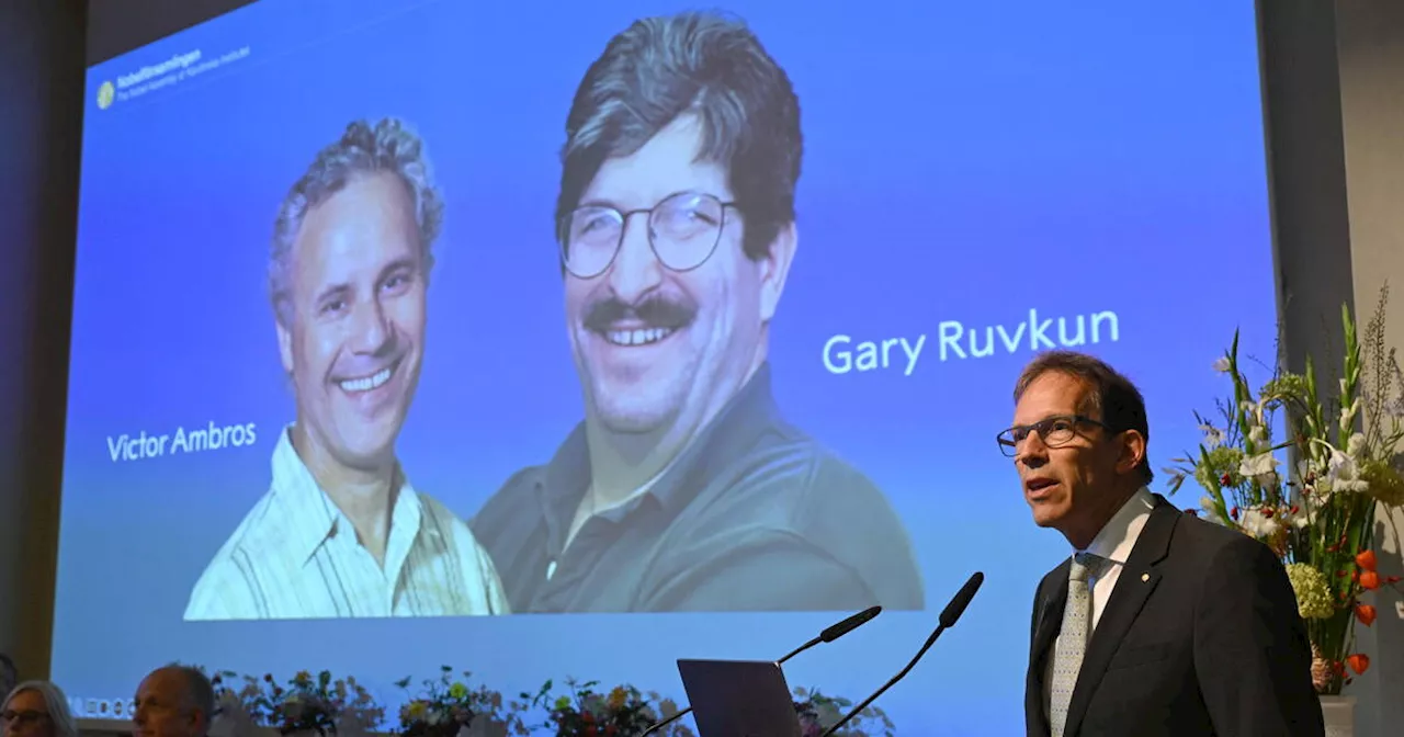 Prix Nobel de médecine 2024 : les découvreurs du micro-ARN Victor Ambros et Gary Ruvkun récompensés