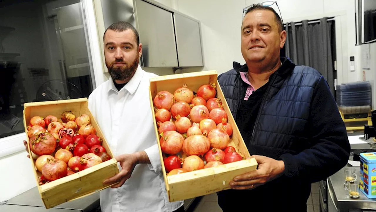 Quand la grenade apporte de nouvelles perspectives à l’agriculture locale