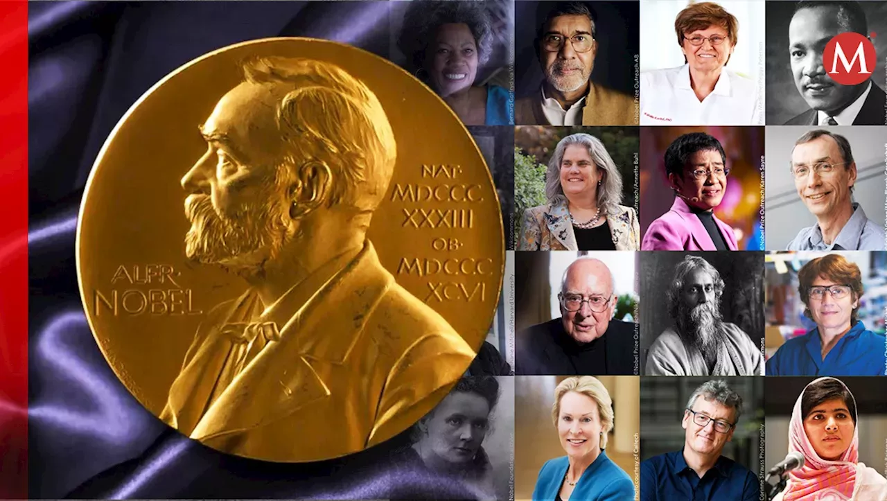 ¿Quién ganó el Premio Nobel de Medicina 2024? Ganador Del Nobel