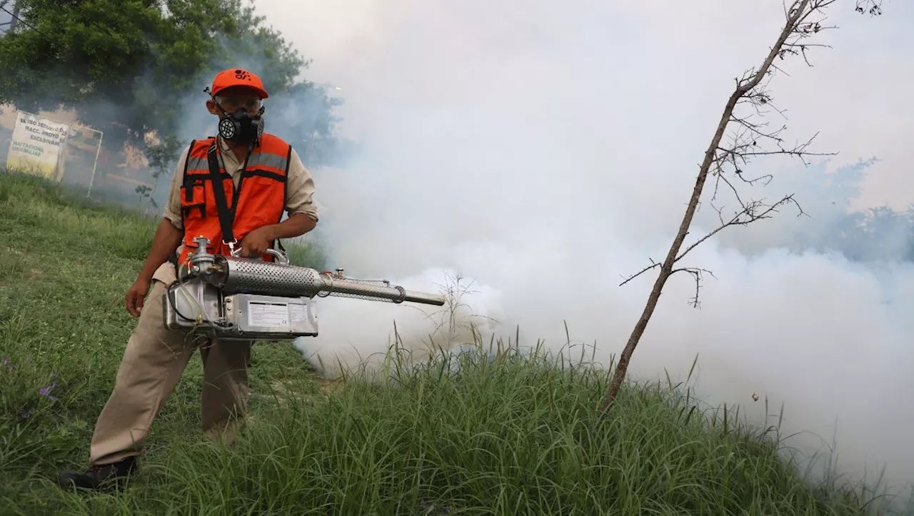 Salud en NL reporta nueve muertes por dengue; hay más de 4 mil 600 casos