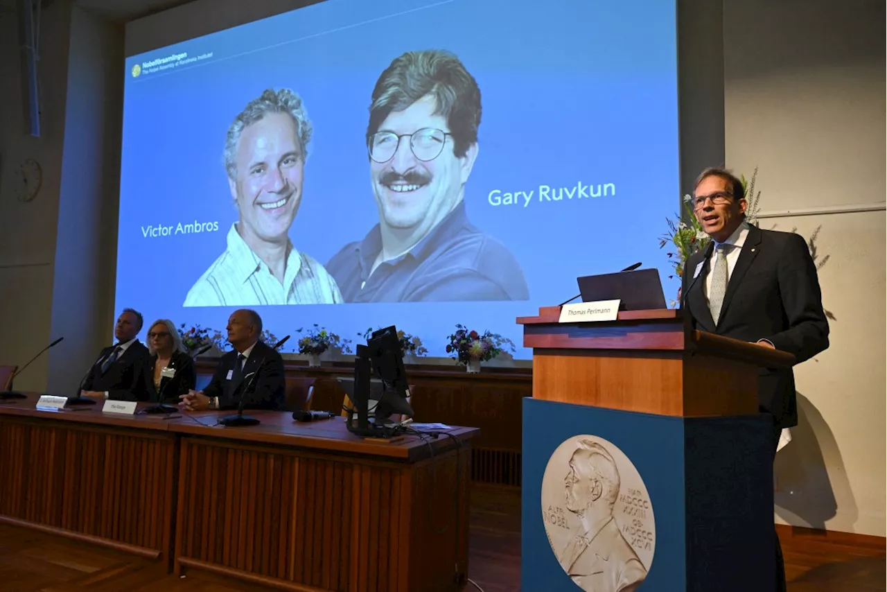 US duo win Nobel for gene regulation breakthrough