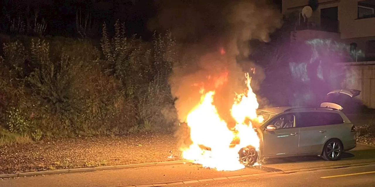 Kanton Luzern: Diverse Vorfälle fordern die Polizei