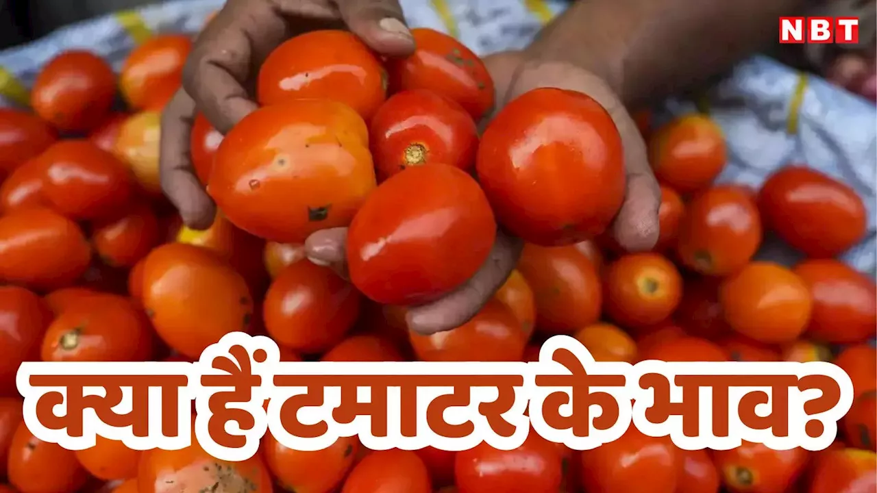 Tomato Price: टमाटर के तेवर ने मचाया गदर, त्राहिमाम कर रही जनता, दाम सुनकर चक्कर खा रहे लोग, जानें इंदौर के भाव