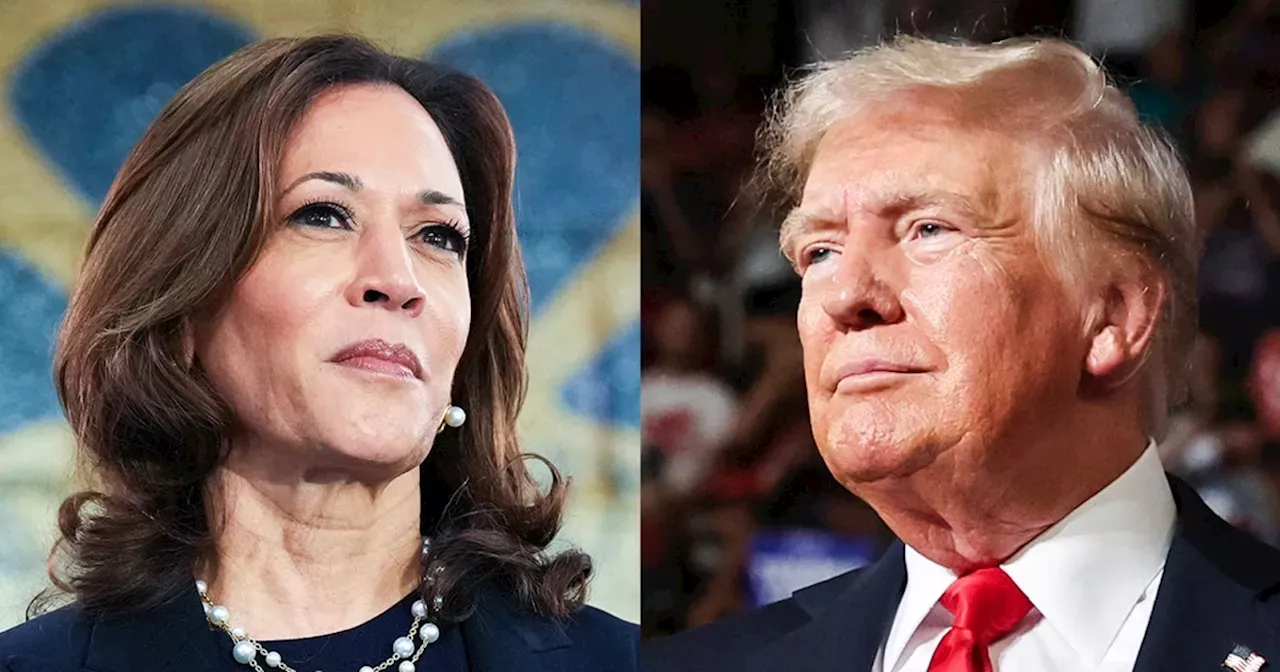 Election 2024 live updates Trump and Kamala Harris mark Oct. 7