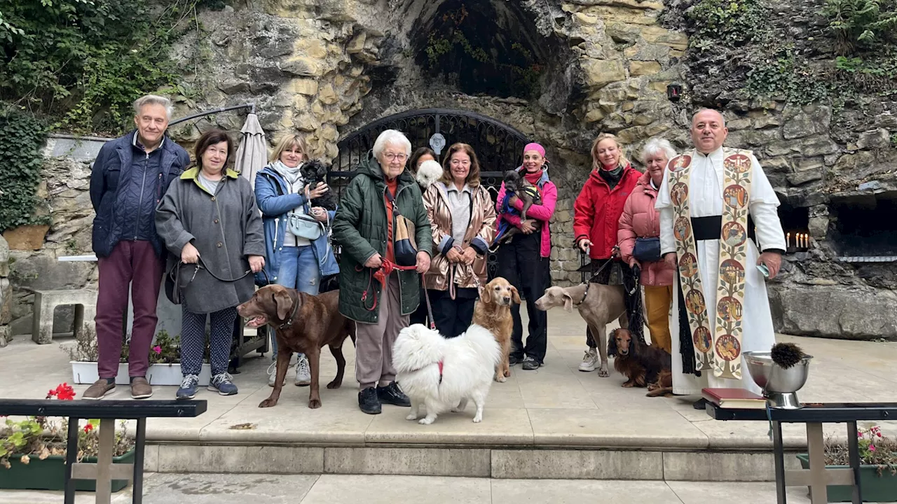 Segen auf vier Pfoten in Maria Gugging