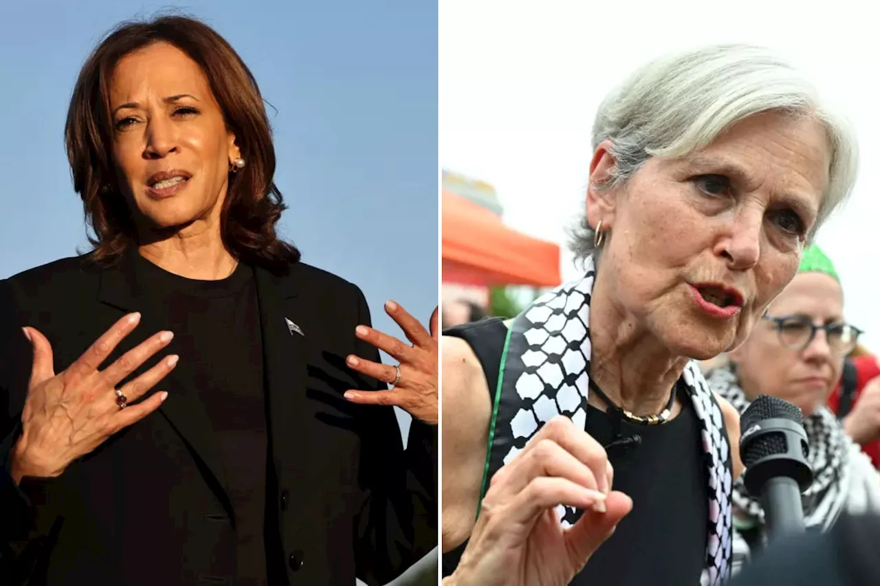 Swing-state Muslim group endorses Jill Stein, slams Kamala Harris for 'overseeing' Gaza war