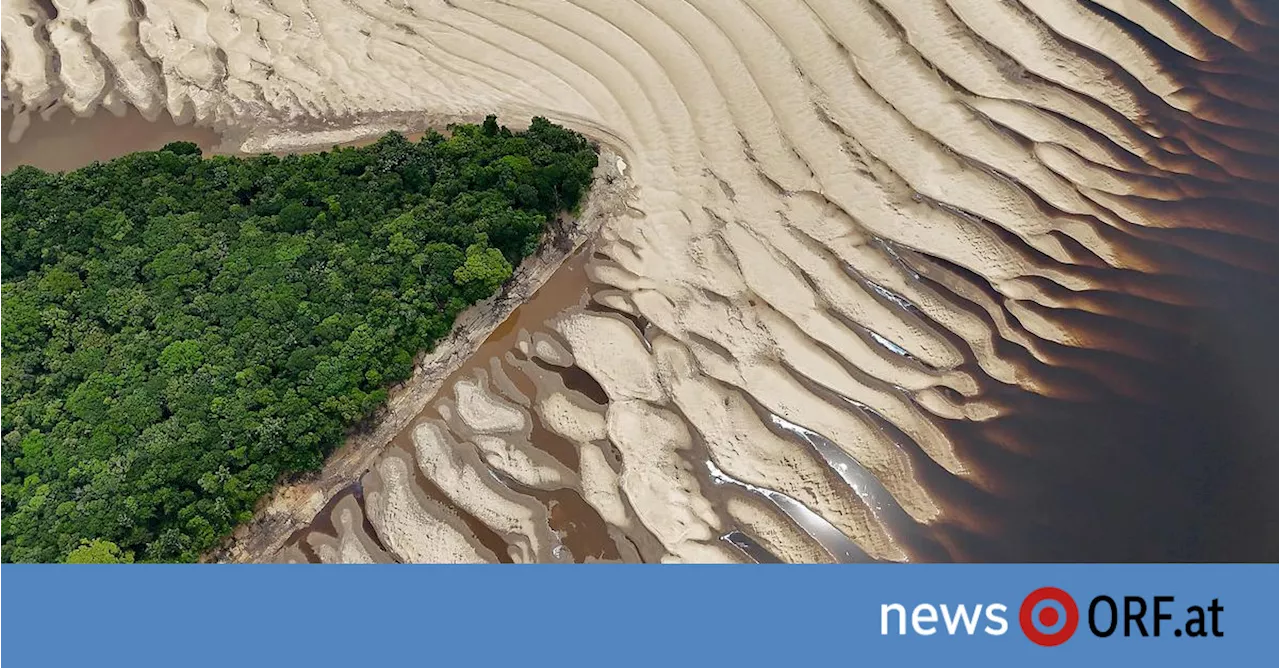 Niedrige Pegelstände: Brasilien will Amazonas ausbaggern