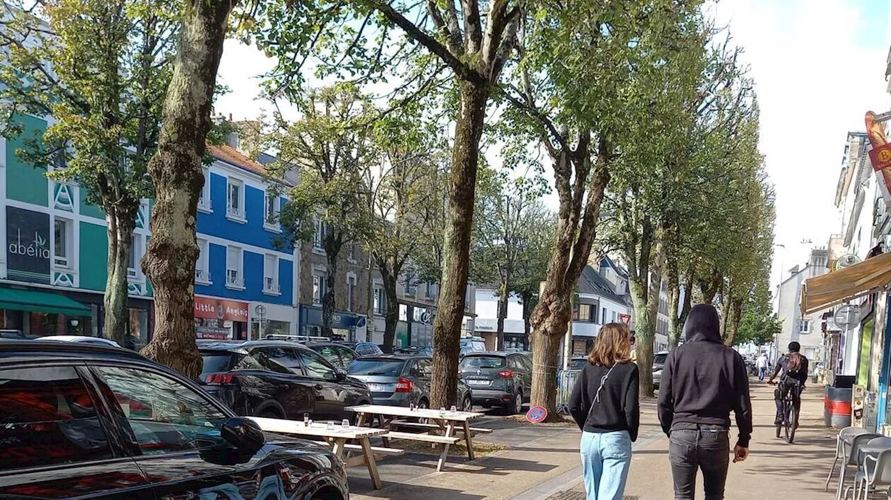 Travaux avenue Jean-Jaurès à Lorient : le Collectif à vélo monte au créneau