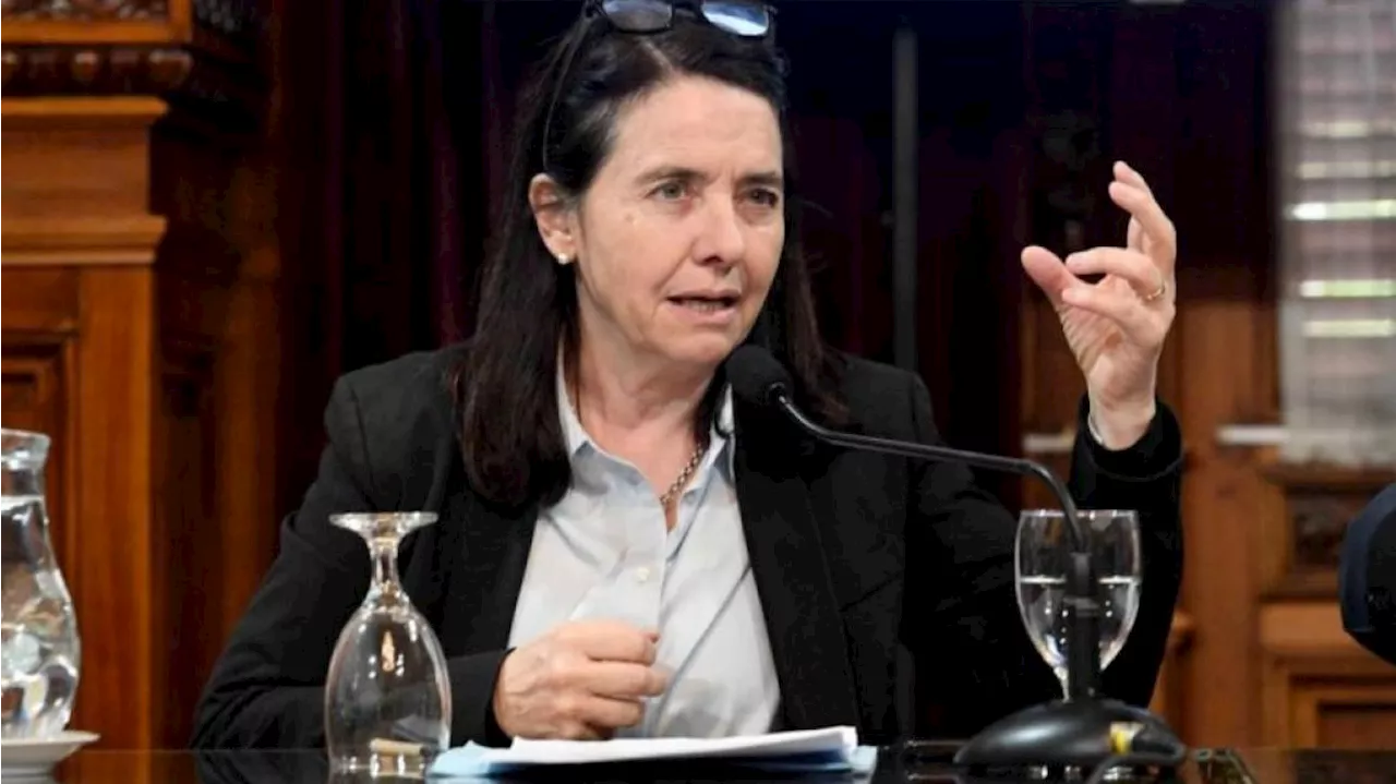 Carmen Álvarez Rivero: 'No me gustaría ser la única del PRO que apoye el veto presidencial'