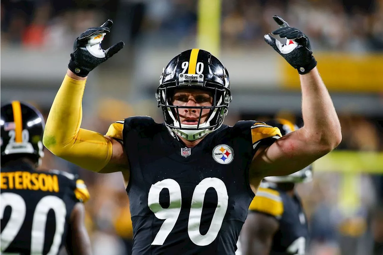 Sack Leaders aller 32 NFL-Teams All-Time und in einer Saison: T.J. Watt durchbricht Schallmauer