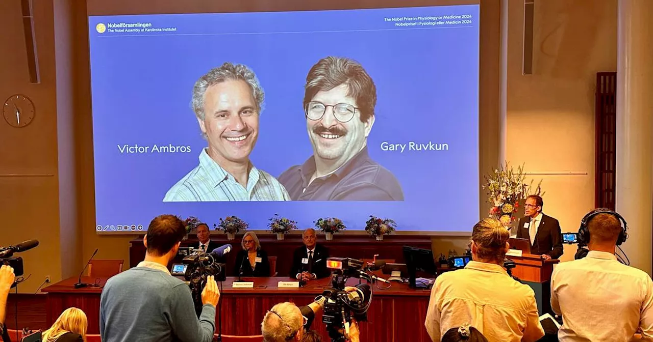 Nobelpreis für Medizin geht an zwei Gen-Forscher