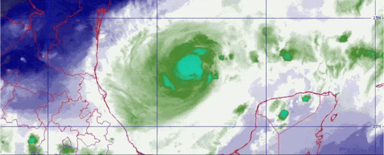 Hurricane Milton Exploded Into a Cat 5 Storm in Less Than a Day. Here's Why.