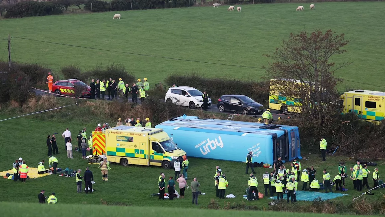 Four children in hospital after school bus crashes near Carrowdore, County Down