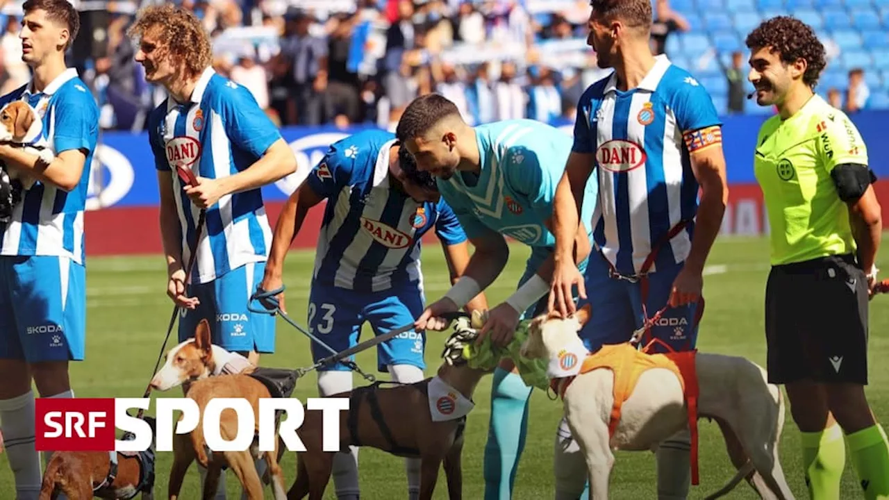 Fussball-Weekend in Bildern - Einlauf-Hunde in Barcelona und Kiffen bald in der 3. Liga?