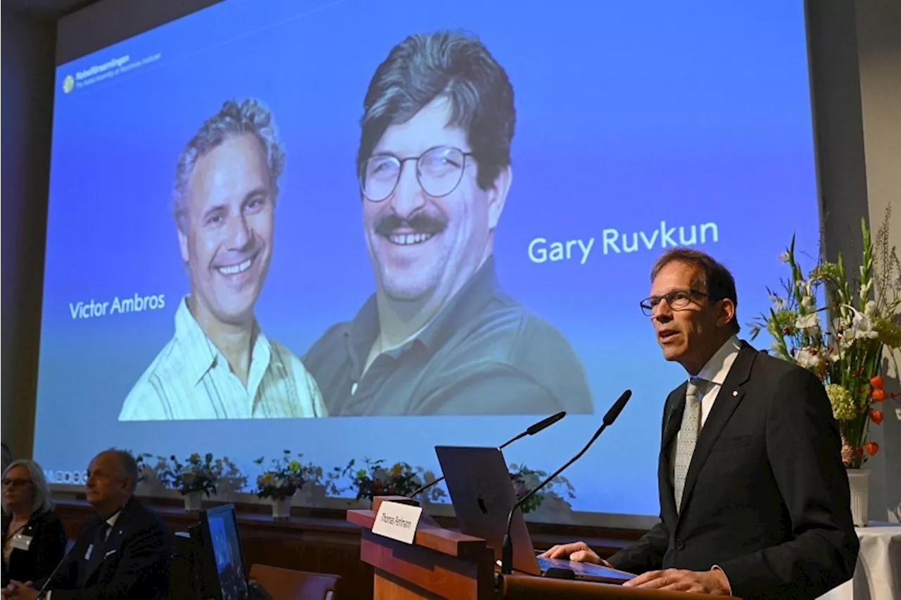 Nobel prize in medicine awarded to US scientists Ambros and Ruvkun for work on microRNA