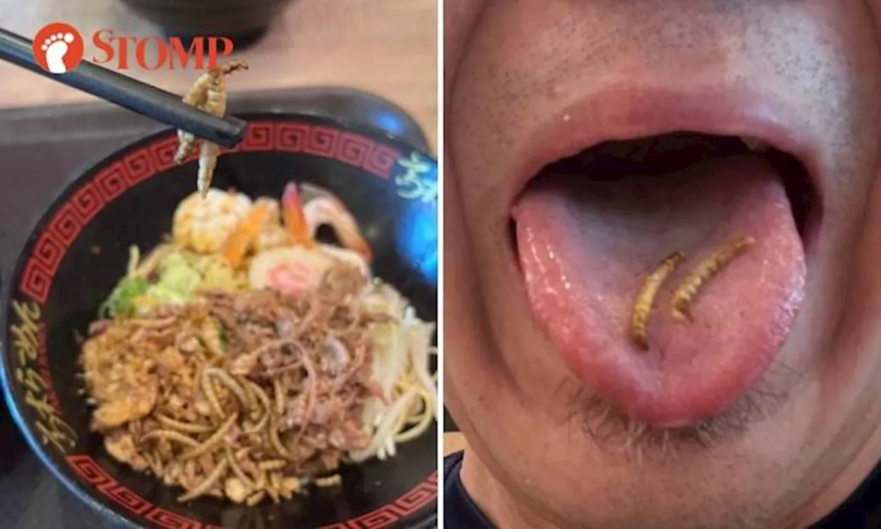 Stomp tried Takagi Ramen's prawn noodles with insect larvae for Halloween and survived