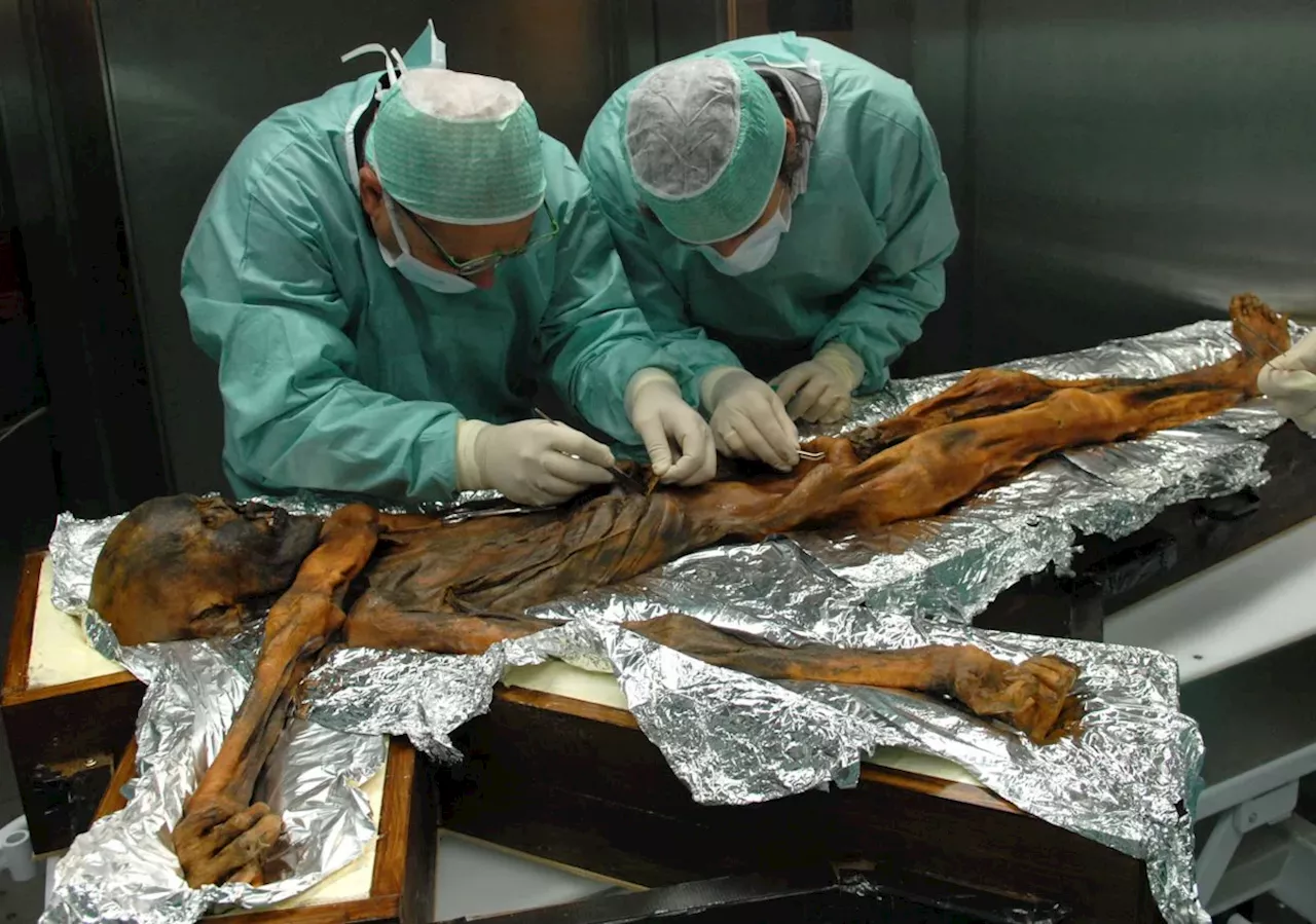 Ötzi, Hauni und andere historische Menschenfunde: Wie sollen sie benannt werden?