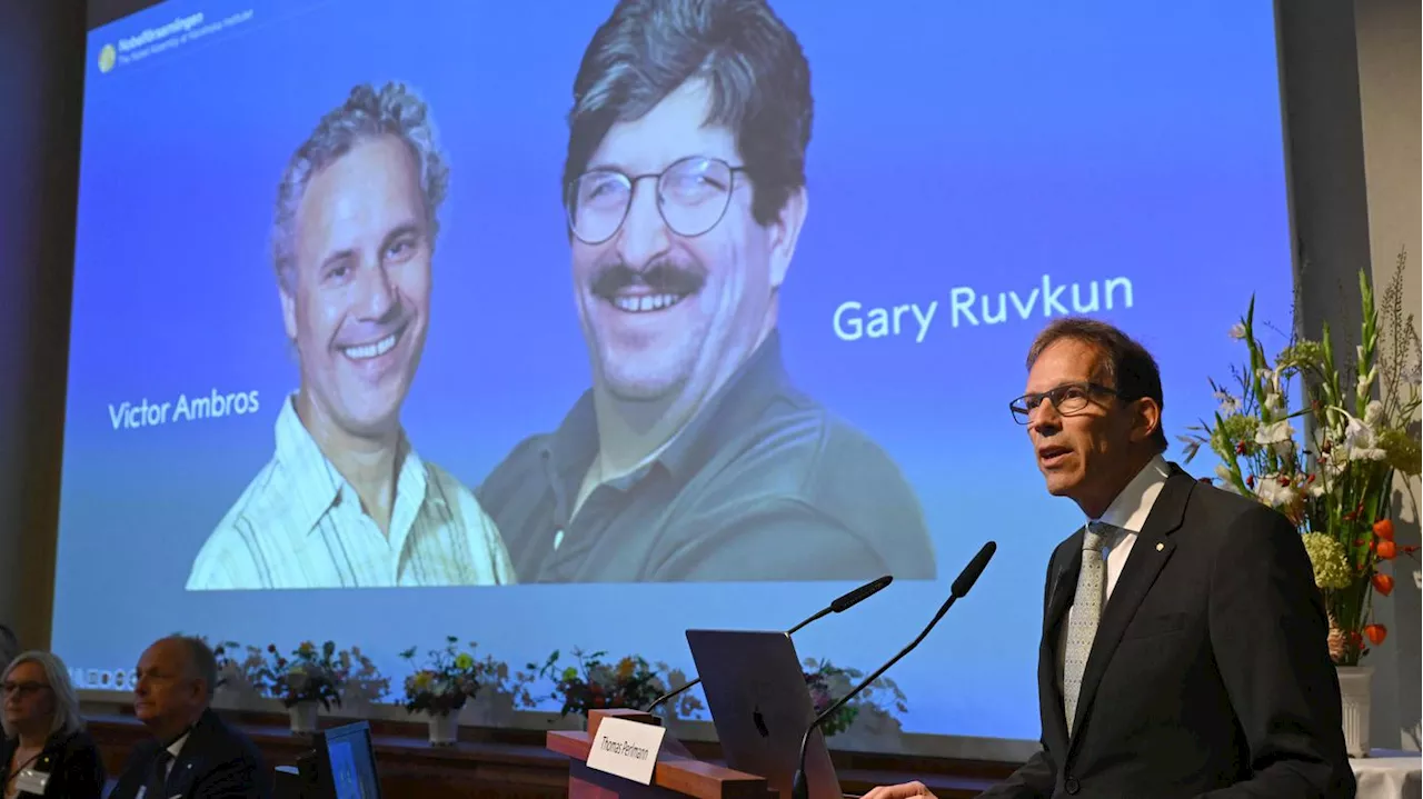 Entdeckung der microRNA: Medizin-Nobelpreis geht an Victor Ambros und Gary Ruvkun