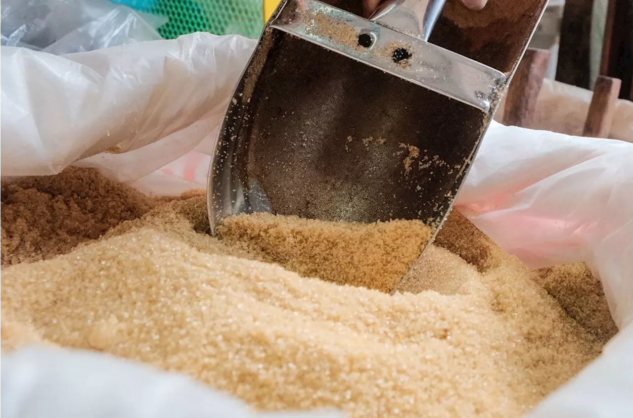 Refined sugar imports plunge to 66,325 MT