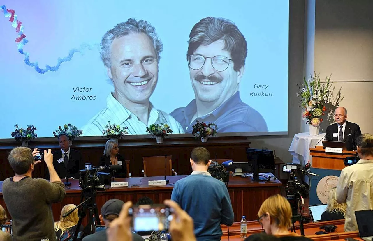 US duo wins Nobel for gene regulation breakthrough