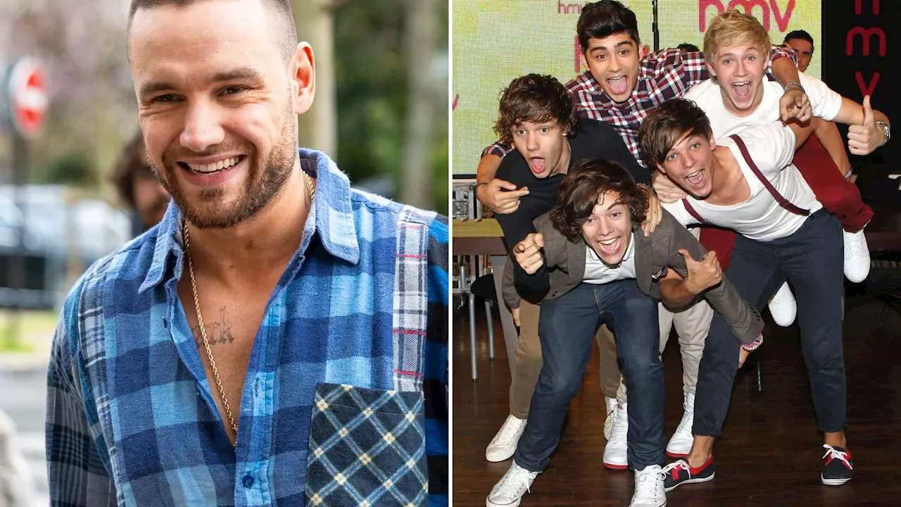 One Direction feud FINALLY revealed as Liam Payne’s ex reveals which band member ‘threw him against a wal...