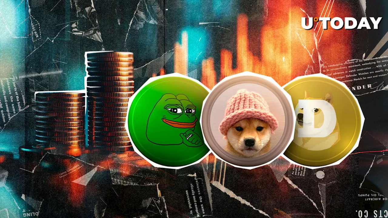 DOGE, PEPE and WIF Stunned by This Meme Coin Liquidation