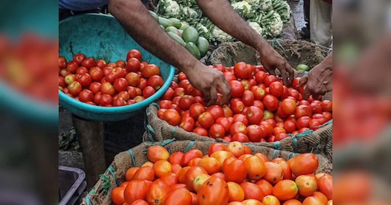 Tomato Price: आपको राहत देने के ल‍िए सरकार ने क‍िया बड़ा खेल, सस्‍ता होकर इतने रुपये ब‍िकेगा टमाटर