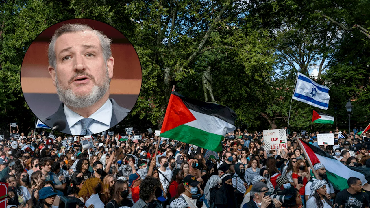 Cruz demands action after Israel supporter attacked in NYC: 'Arrest every single person'