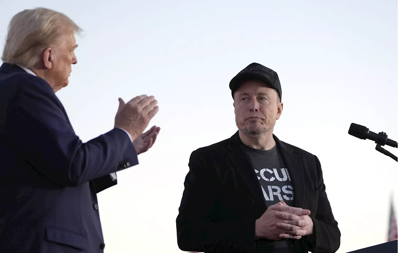 Election américaine 2024 : Si Donald Trump « perd, je suis baisé », juge Elon Musk