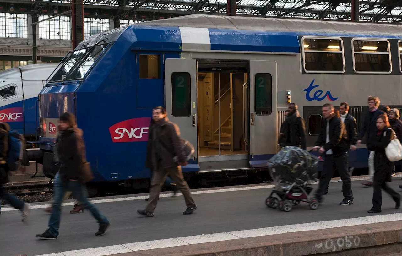 Allier : La ligne ferroviaire Bourges-Montluçon rouverte après 16 mois de travaux