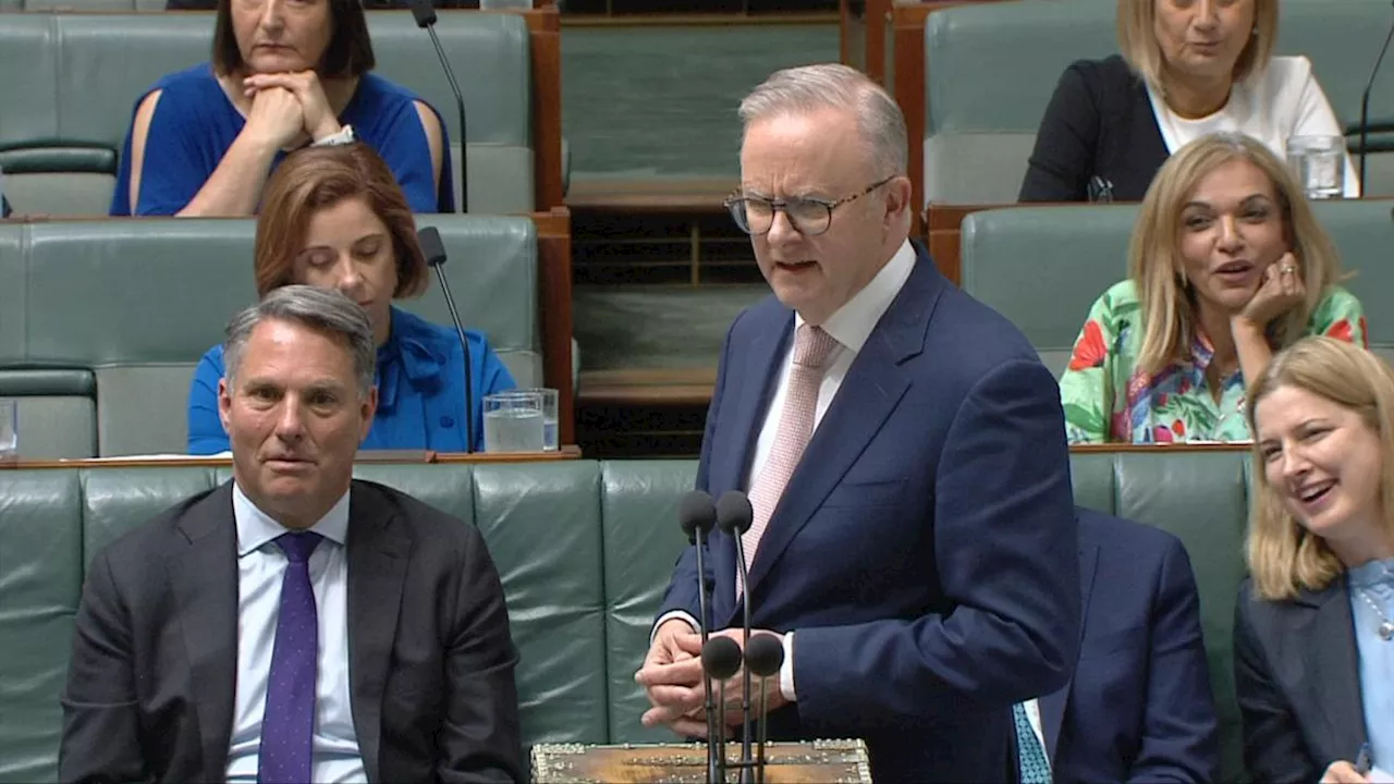 Anthony Albanese slammed for Tourette’s slur during Question Time