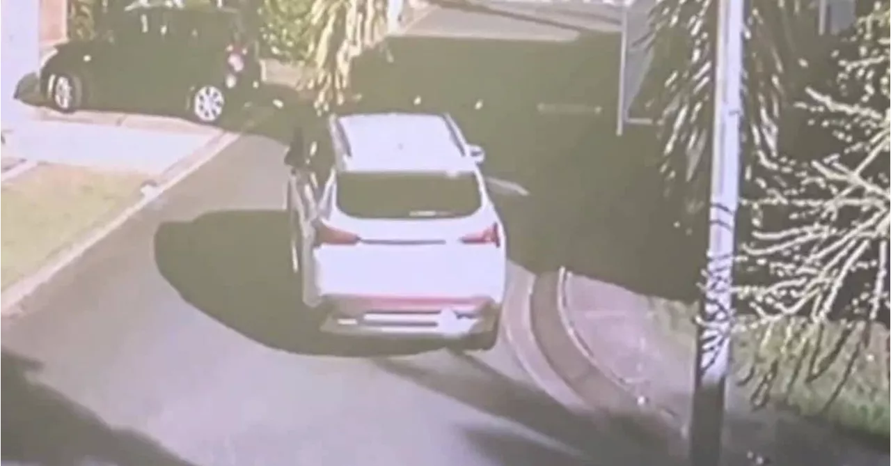 CCTV footage shows white SUV leaving before fatal house fire