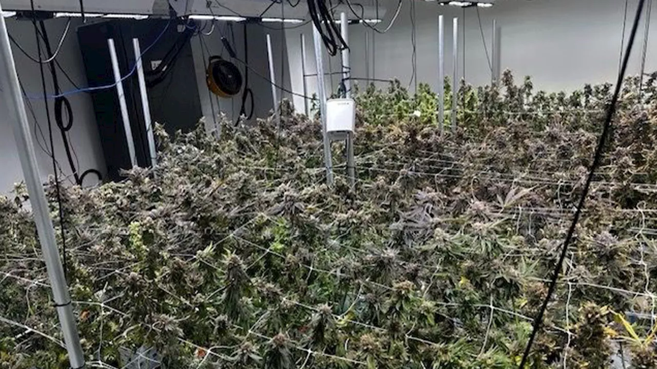 NYPD, NYC Sheriff bust marijuana grow house near day care in Brooklyn