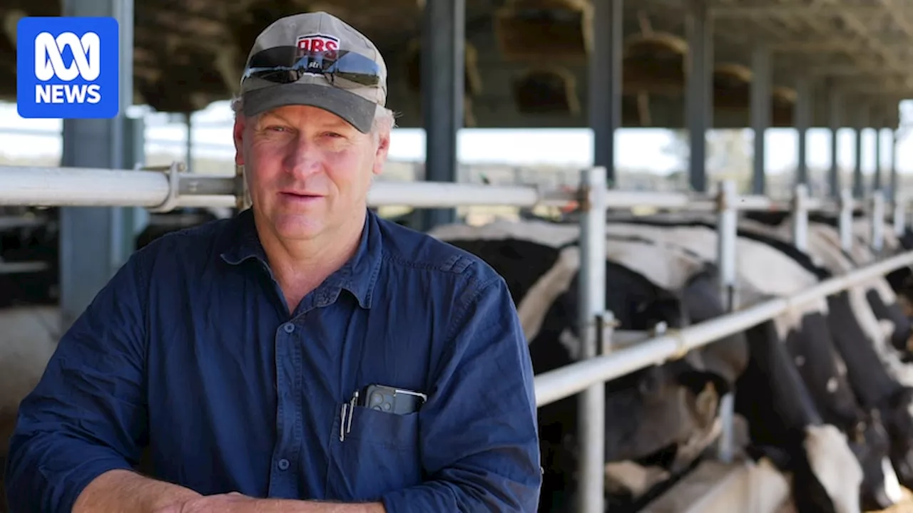 Dairy farmers turning to housed systems to produce abundance of cow's milk