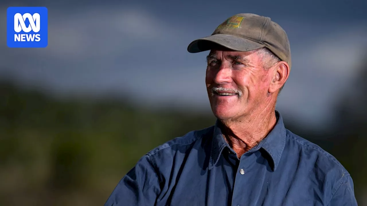 Saleyards keep farmers socially connected, but can communities stop their demise?