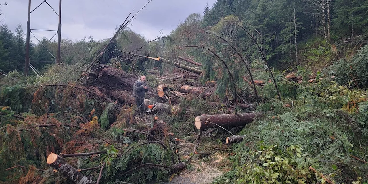 Crews start clean-up process following weekend landslide in Ketchikan