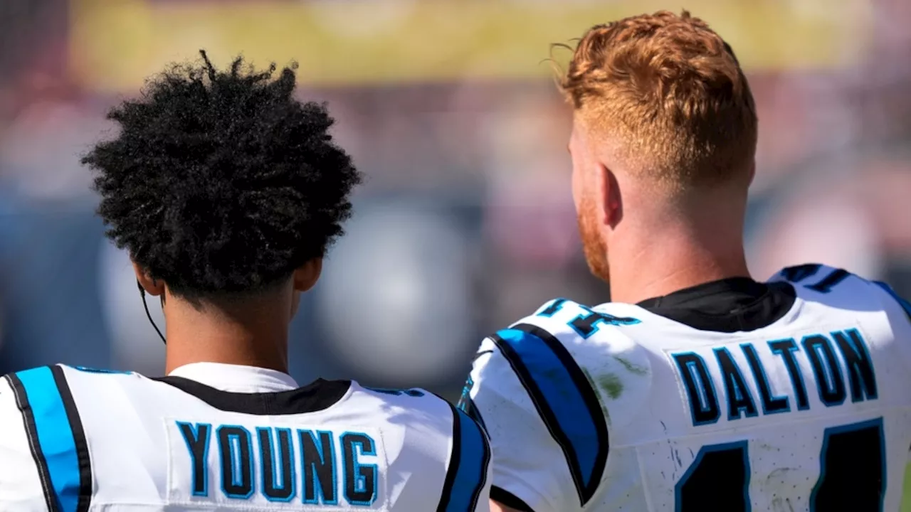 Do the Carolina Panthers value Andy Dalton more than Bryce Young?